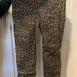 J crew Winnie pant